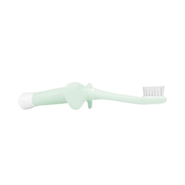 Dr. Brown's Infant-to-Toddler Training Toothbrush Set, Mint Elephant with - Image 3
