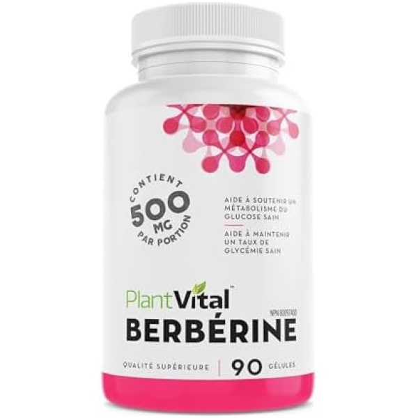 PlantVital Berberine 500mg Supplement -90 Capsules. Berberine Supplements - Image 6