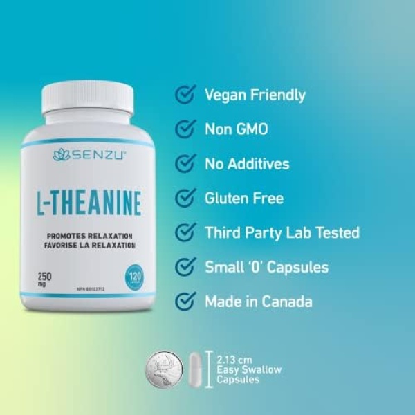 High Potency L-Theanine 250mg (Bonus Size 120 Capsules) - Relaxation, Stress - Image 4