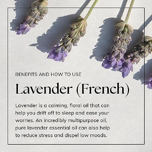 Nikura French Lavender Essential Oil - 10ml | 100% Pure Natural Oils | Perfect - Image 6