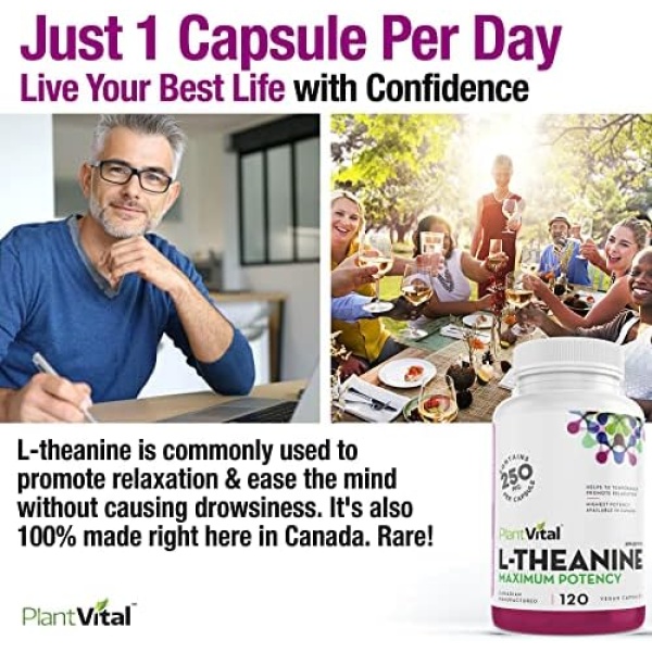 PlantVital L-Theanine Capsules, HIGH POTENCY - L Theanine supplement promotes - Image 2