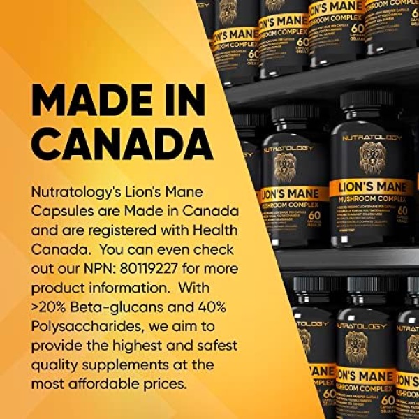 Organic Lion's Mane Mushroom Capsules - Nootropic Mushroom Supplements - Image 5