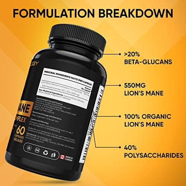 Organic Lion's Mane Mushroom Capsules - Nootropic Mushroom Supplements - Image 8
