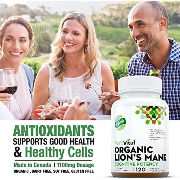 PlantVital Lions Mane Supplement - Lions Mane Mushroom Capsules- Lion Mane - Image 6
