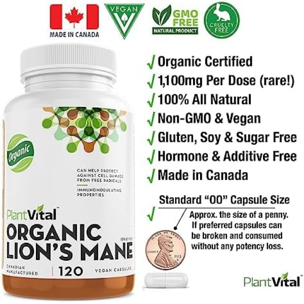 PlantVital Lions Mane Supplement - Lions Mane Mushroom Capsules- Lion Mane - Image 3
