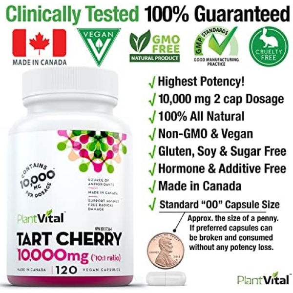 PlantVital Organic Tart Cherry Capsules -10,000mg Per Day -10:1 Cherry Extract - Image 2