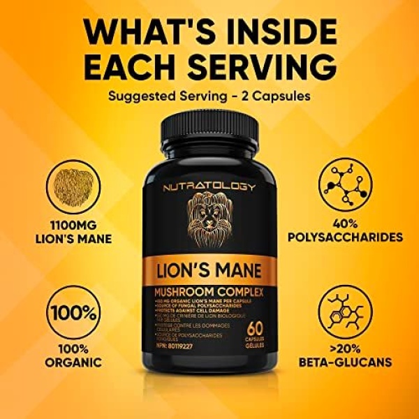 Organic Lion's Mane Mushroom Capsules - Nootropic Mushroom Supplements - Image 3