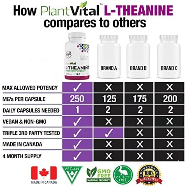PlantVital L-Theanine Capsules, HIGH POTENCY - L Theanine supplement promotes - Image 3