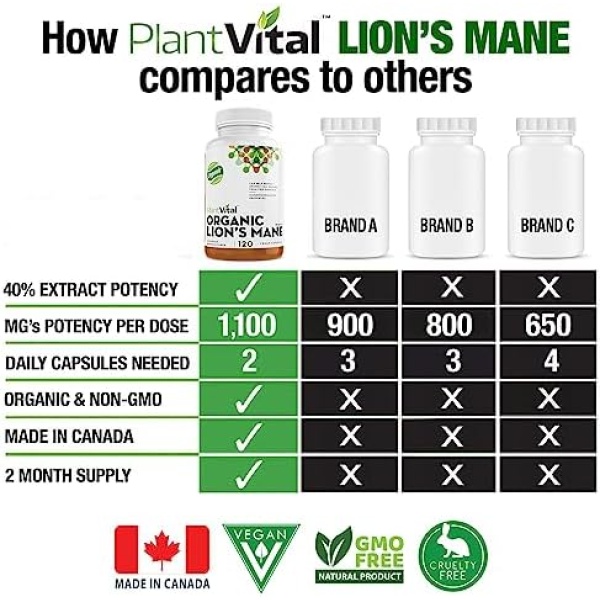 PlantVital Lions Mane Supplement - Lions Mane Mushroom Capsules- Lion Mane - Image 4