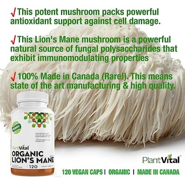 PlantVital Lions Mane Supplement - Lions Mane Mushroom Capsules- Lion Mane - Image 5