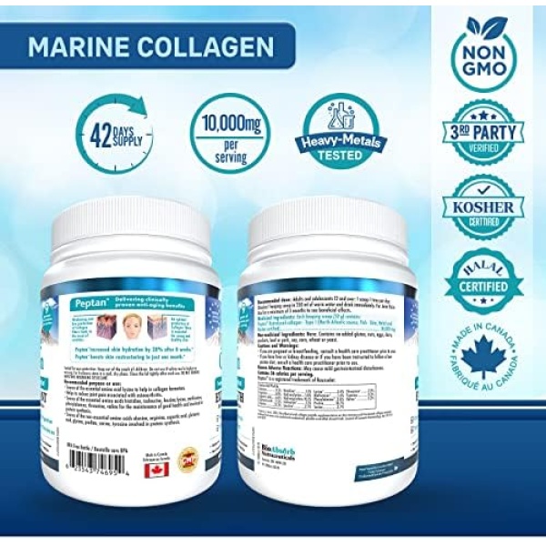 Marine Collagen Powder, Extra Strength w/Peptan (Type 1 Hydrolyzed Collagen - Image 2