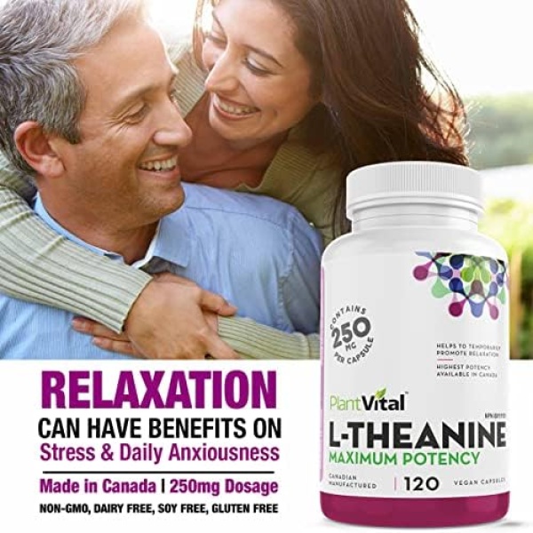 PlantVital L-Theanine Capsules, HIGH POTENCY - L Theanine supplement promotes - Image 5