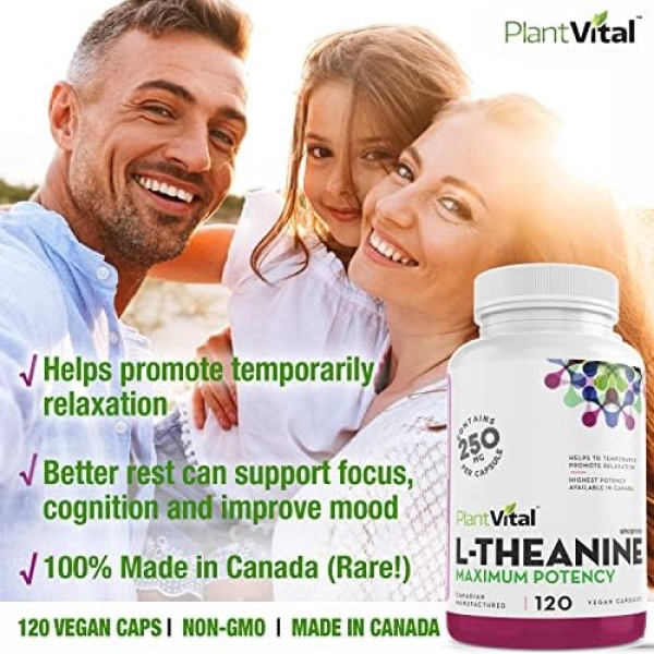 PlantVital L-Theanine Capsules, HIGH POTENCY - L Theanine supplement promotes - Image 4