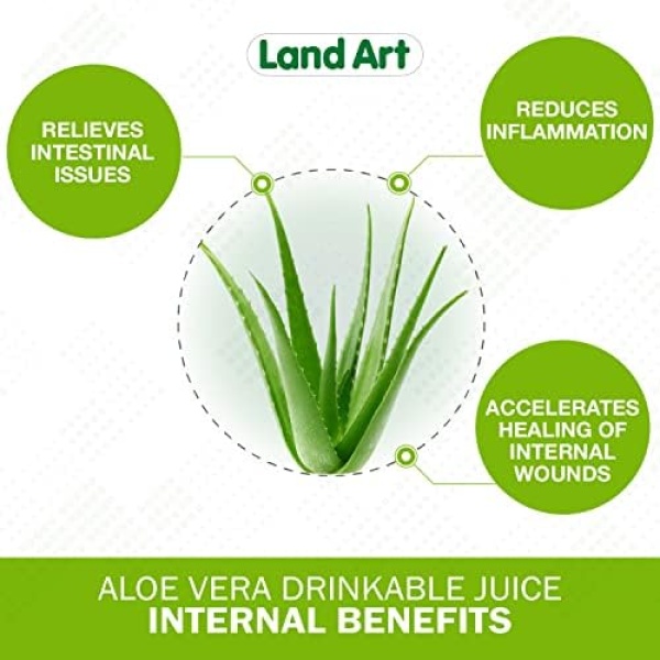 Pure Aloe Vera Juice Unflavoured 1.5L - Cold-Processed – from Organic Fresh - Image 2