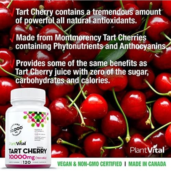 PlantVital Organic Tart Cherry Capsules -10,000mg Per Day -10:1 Cherry Extract - Image 5