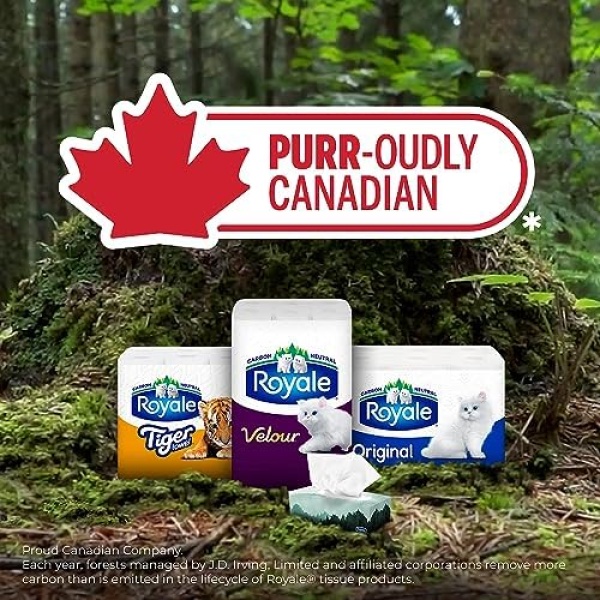 Royale Original 2 Ply Facial Tissue, Soft & Strong, 6 Tissue Boxes, 126 Tissues - Image 7