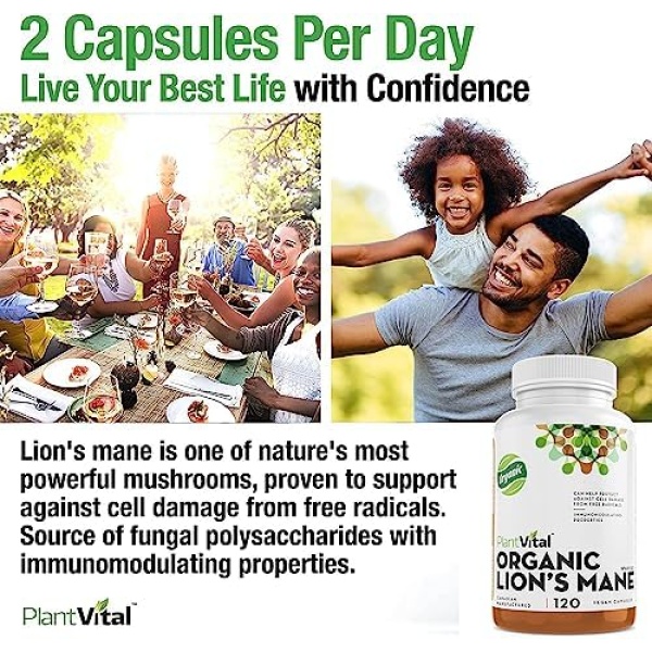 PlantVital Lions Mane Supplement - Lions Mane Mushroom Capsules- Lion Mane - Image 2